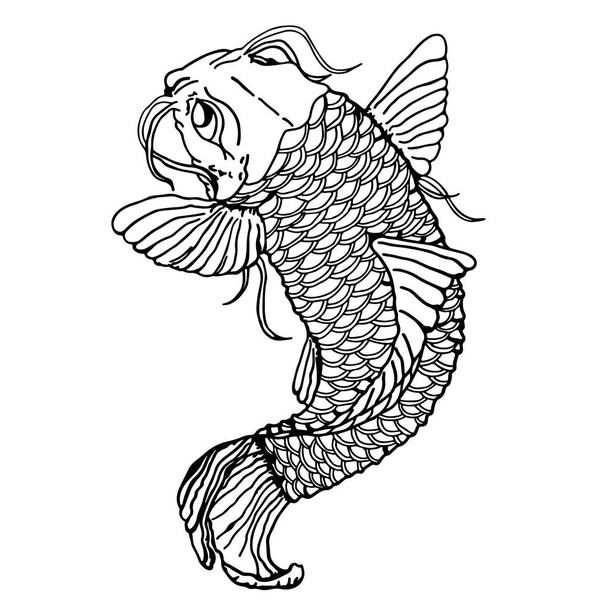 Sketch - tattoo Japanse catfish, close-up. Gedetailleerde schets van vis - Vector, afbeelding