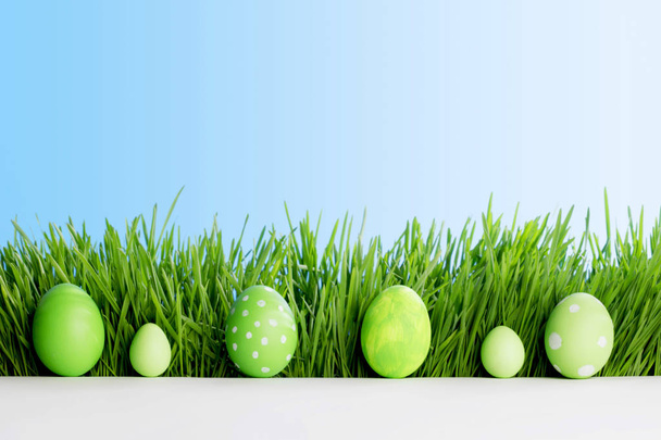 Row of Easter Eggs in grass - Фото, зображення