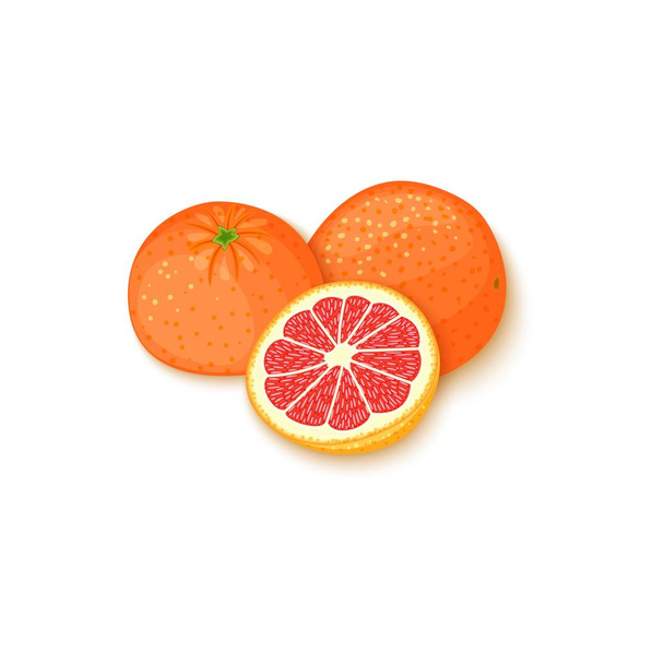 Trópusi grapefruit gyümölcs összetétele. Vektor kártya illusztráció. Érett vektor citrus, pomelo gyümölcs egész és szelet design Élelmiszer csomagolás reggeli, méregtelenítés, kozmetikai krém, lekvár, gyümölcslé - Vektor, kép