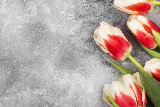 Bouquet of white pink tulips on a gray background. Top view, cop - Fotografie, Obrázek