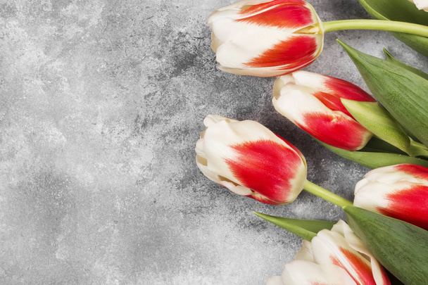 Bouquet of white pink tulips on a gray background. Top view, cop - Фото, зображення
