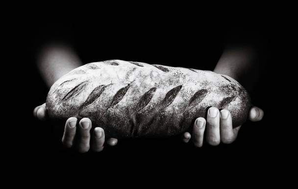 A loaf of freshly baked bread in the hands of a baker on a black background. - Foto, imagen