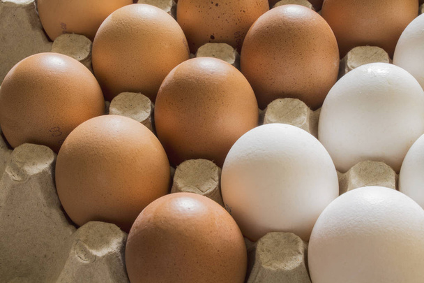 Brown and white chicken eggs on a stand - Photo, image