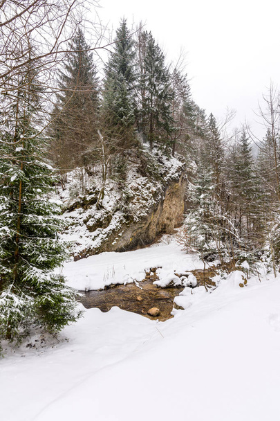 Slovakia national park Mala Fatra, Janosikove diery, path in the forest, snow and winter. - Photo, Image