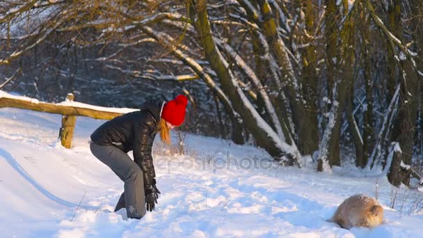 Mädchen mit rotem Hut spielt mit Hund im Winterwald. - Filmmaterial, Video