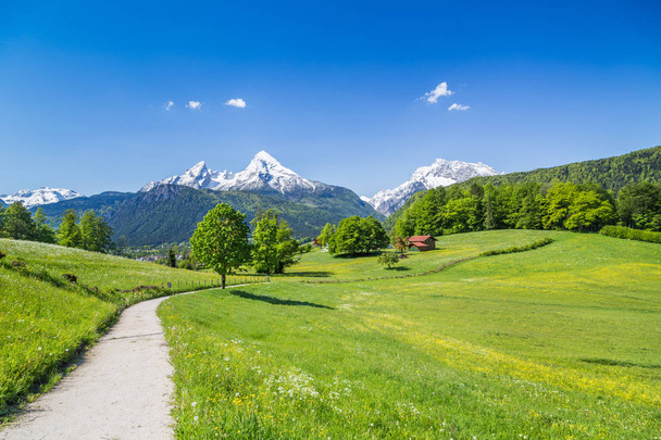 Paesaggio estivo idilliaco nelle Alpi, Parco nazionale Berchtesgadener Land, Baviera, Germania
 - Foto, immagini