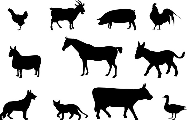 αγρόκτημα ζώα σιλουέτες - Διάνυσμα, εικόνα