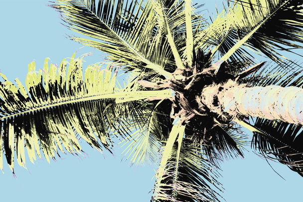 Palm boom achtergrond. - Vector, afbeelding