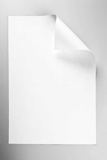 Blank sheet of paper with curled corner - Photo, Image