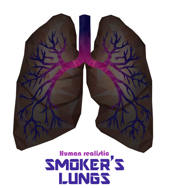 Pulmones humanos poco realistas y bronquios con inflamación del cáncer
 - Vector, imagen