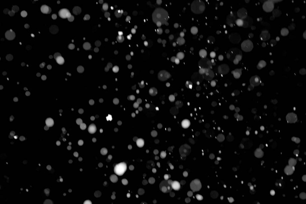 Snowfall on black background - design element - Foto, immagini