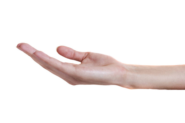 Hand of a young woman - Фото, изображение