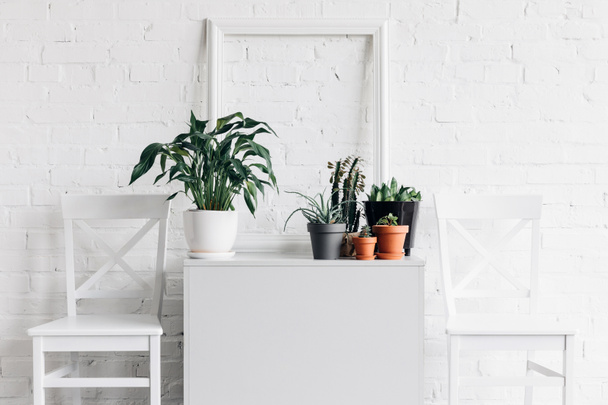 Hausdekor mit Zimmerpflanzen vor weißer Backsteinwand, Attrappen-Konzept - Foto, Bild
