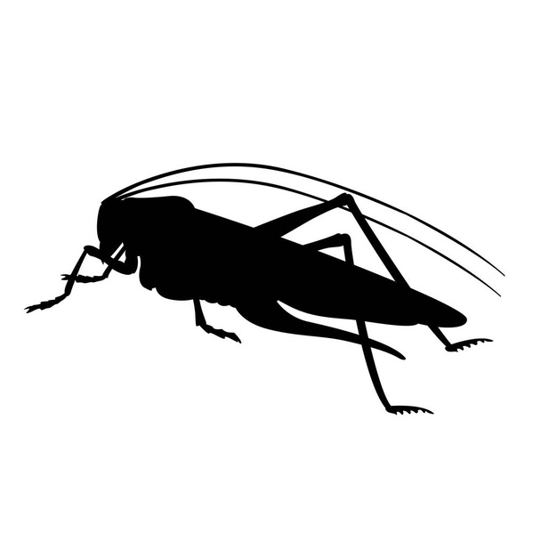 grasshopper verde vettore illustrazione nero profilo silhouette
   - Vettoriali, immagini