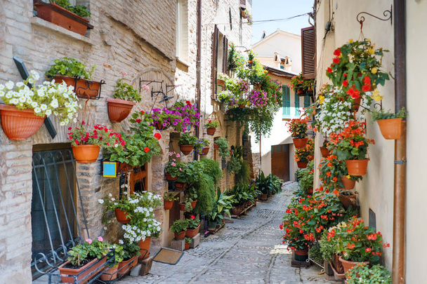 Θέα Spello στην Umbria, διάσημο για στενά δρομάκια και balconie - Φωτογραφία, εικόνα