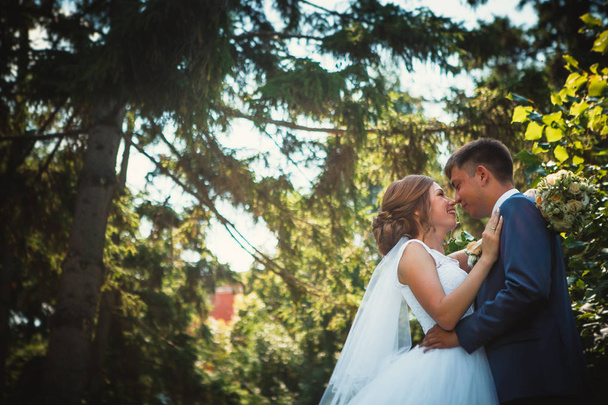 couple groom and bride hugging and kissing on nature park background - Foto, immagini