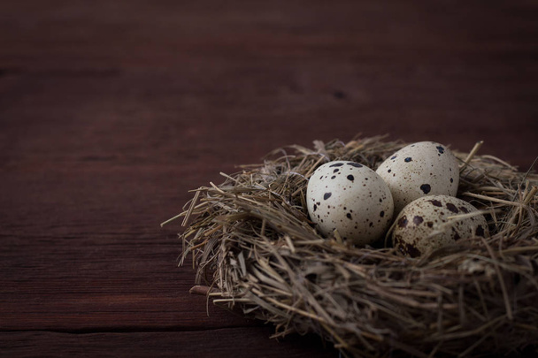 Перепелині яйця в гнізді на тлі темно коричневий дерев'яні - Фото, зображення