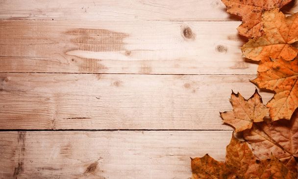 Maple φύλλα το φθινόπωρο σε φόντο - Φωτογραφία, εικόνα