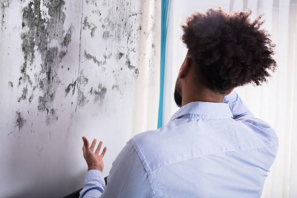 Vista trasera de un hombre joven mirando el molde en la pared
 - Foto, Imagen