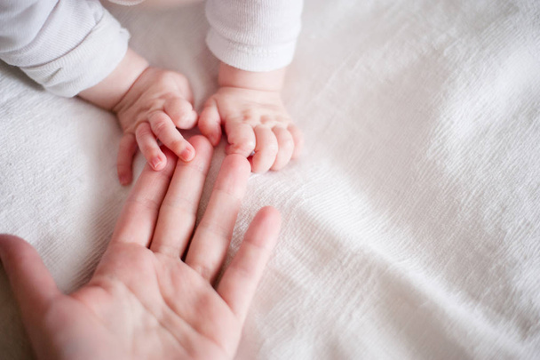 hands of a newborn baby in the mother's fingers  - Φωτογραφία, εικόνα