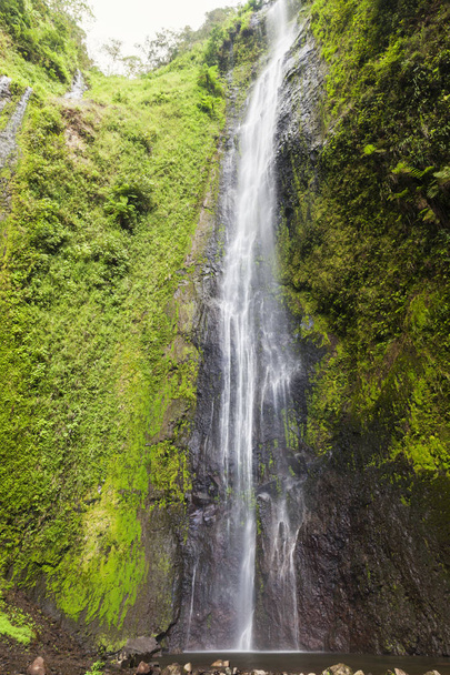 San Ramon Waterfalls on Ometepe Island. Managua, Nicaragua. - Φωτογραφία, εικόνα