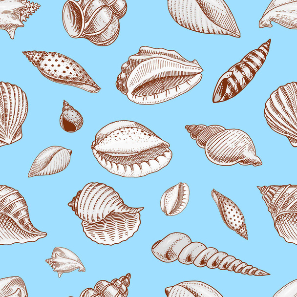 seamless pattern shells or mollusca different forms. sea creature. engraved hand drawn in old sketch, vintage style. nautical or marine, monster or food. animals in the ocean. - Vektor, obrázek