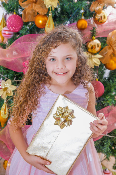 Beautiful smiling curly girl wearing a pink dress and holding a huge gift in her hands, with a Christmas tree behind, christmas and new year concept - Foto, immagini