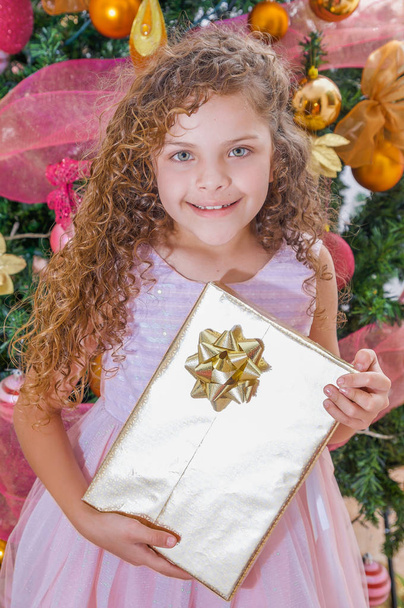 Close up of beautiful smiling curly girl wearing a pink dress and holding a huge gift in her hands, with a Christmas tree behind, christmas and new year concept - Foto, immagini