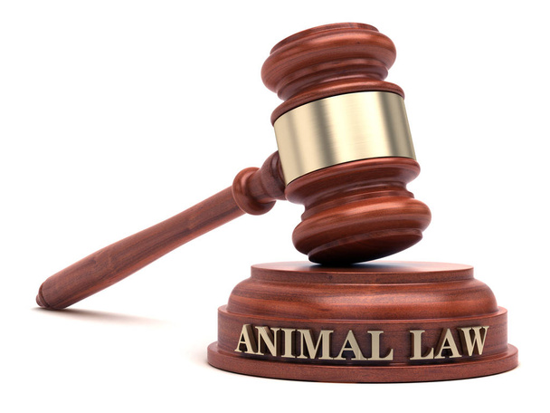 Δικαίου των ζώων. Σφυρί και την λέξη ζώων νόμος περί ήχου μπλοκ - Φωτογραφία, εικόνα