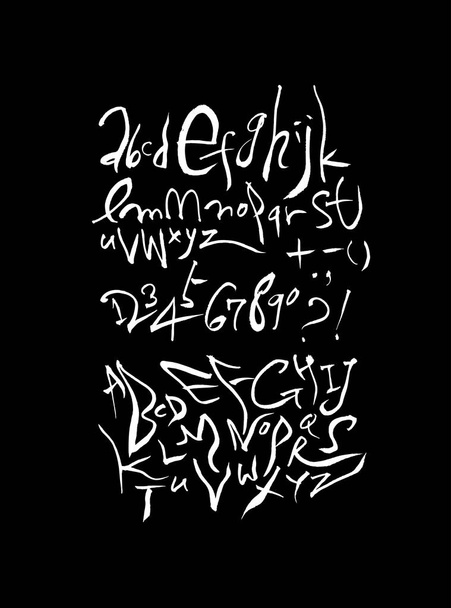 Vector fonts / Handwritten calligraphy  - Vektor, obrázek