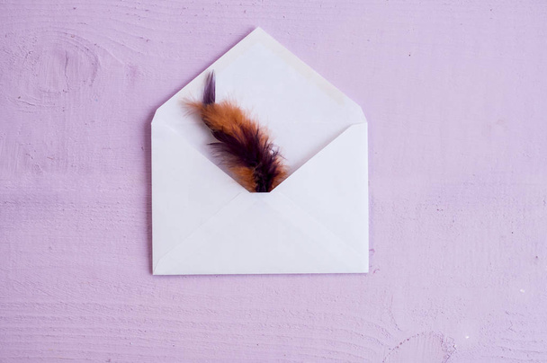 white open envelope with colored feather inside flat lay on purple background. - Photo, Image