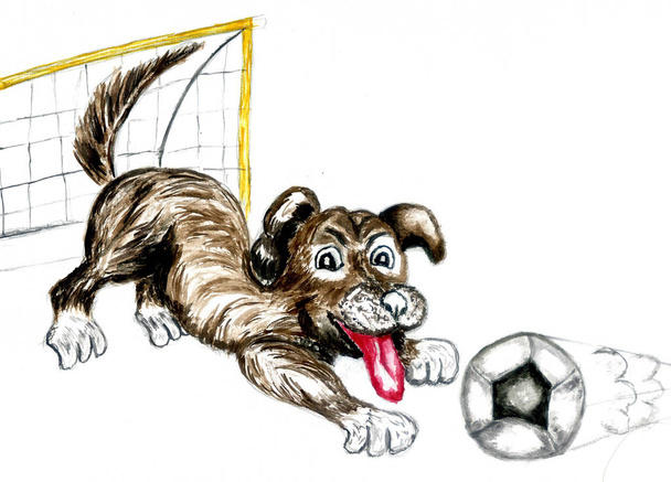 ein niedlicher Cartoon-Hund mit Fußball, Fußball-Aquarell-Illustration. - Foto, Bild