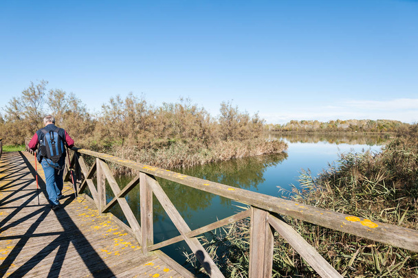 Senderista (60 años) en una pasarela de madera en el río
. - Foto, Imagen