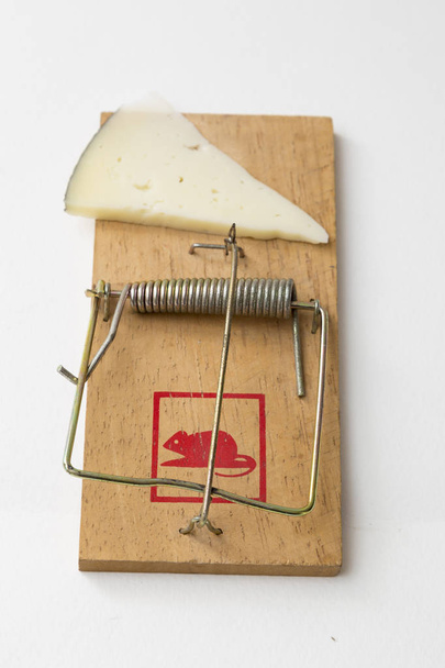 ποντίκι παγίδα και τυρί - Φωτογραφία, εικόνα