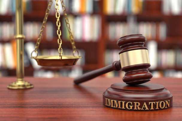 Иммиграционный закон. Гавел и слово Иммиграция на звуковой блок
 - Фото, изображение
