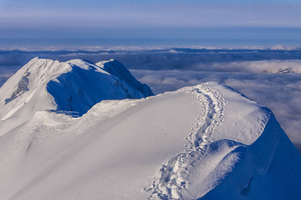 冬の山の風景  - 写真・画像