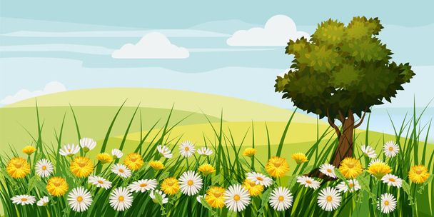Frühling schöne Landschaft, Felder, Kamillenblüten, Löwenzahn, Wolken, Cartoon-Stil, Vektor, Illustration, isoliert - Vektor, Bild