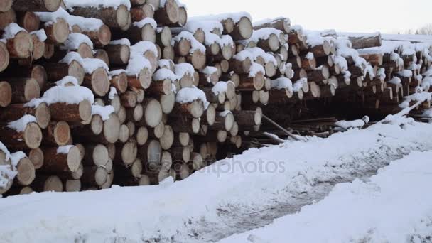 Panoramablick auf einen Holzstapel, der an einem Wintertag mit Schnee bedeckt ist - Filmmaterial, Video