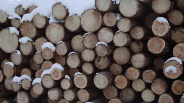 Vista panorâmica do monte de troncos cobertos de neve no dia de inverno
 - Filmagem, Vídeo