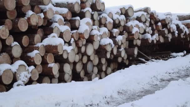 Panoramiczny widok na stos drewna pokryte śniegiem na zimowe wieczory - Materiał filmowy, wideo