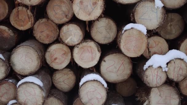 Stapel hout bedekt met sneeuw op de winterdag - Video