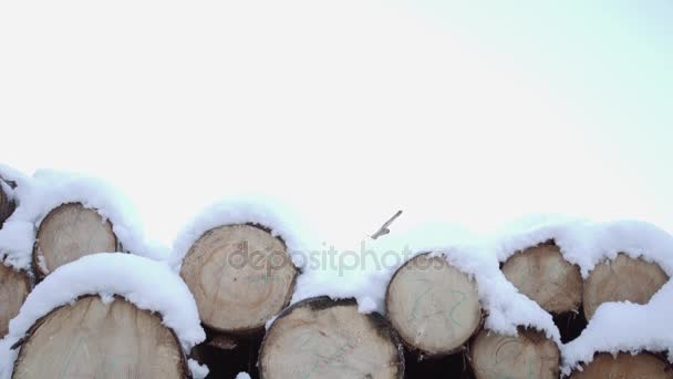 Kupie drewno pokryte śniegiem na zimowe wieczory - Materiał filmowy, wideo