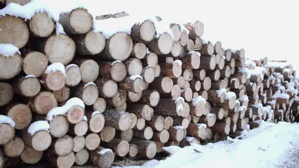 Pokryte śniegiem na zimowe wieczory stos drewna - Materiał filmowy, wideo