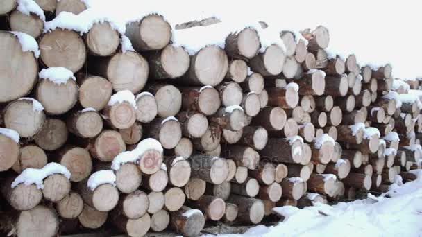 Panoramiczny widok stłoczyć drewna pokryte śniegiem na zimowe wieczory - Materiał filmowy, wideo