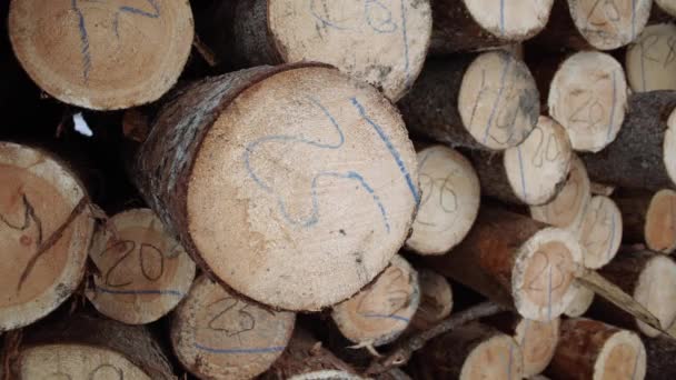 Fa fűrészáru zűrzavar a fűrésztelep számok jelölőkkel - Felvétel, videó