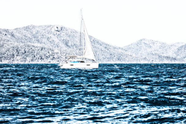 en australia fraser isla y un catamarán en el océano como crucero de lujo
 - Foto, imagen