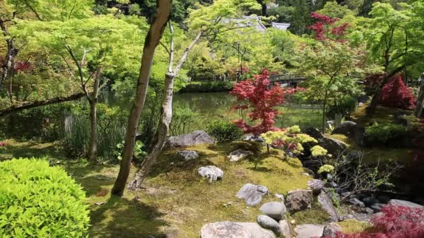 ZENRIN-ji templom kő lámpa - Felvétel, videó