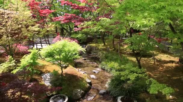 Zen puutarha Kioto
 - Materiaali, video