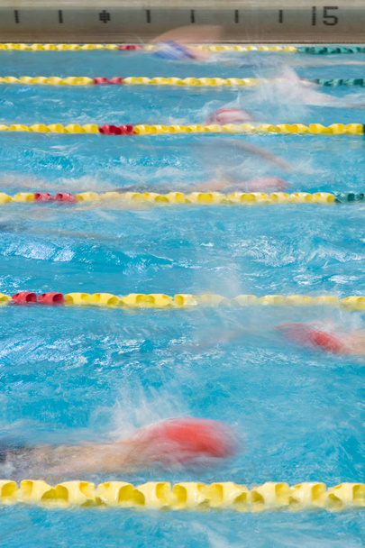 Competição de natação na piscina interior
 - Foto, Imagem
