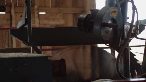 Spinning circle blade cutting timber on planks at sawmill machine - Video